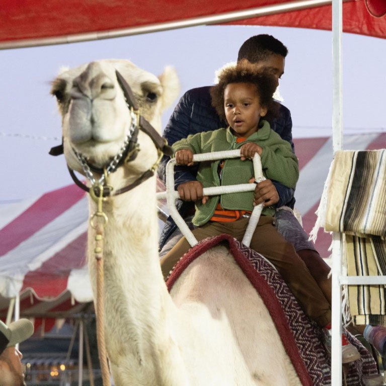 Camel Rides  Select Dates & Times
